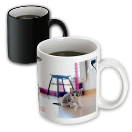 3dRose Young woman hugging and loving her dogs, a Spanish Greyhound or galgo and mixed breed brown dog, Magic Transforming Mug, 11oz