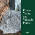 thumbnail image 5 of Dalen Insect Guard – Protective Plant and Garden Cover – Reusable Garden Fabric – Made in The USA – Helps Keep Bugs and Swarming Insects Away from Your Plants – 5ft x 40 ft., 5 of 5