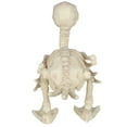 thumbnail image 7 of Seasons Skeleton Baby Duck Halloween Decoration for Crazy Bonez Skeleton Line, 7 of 7