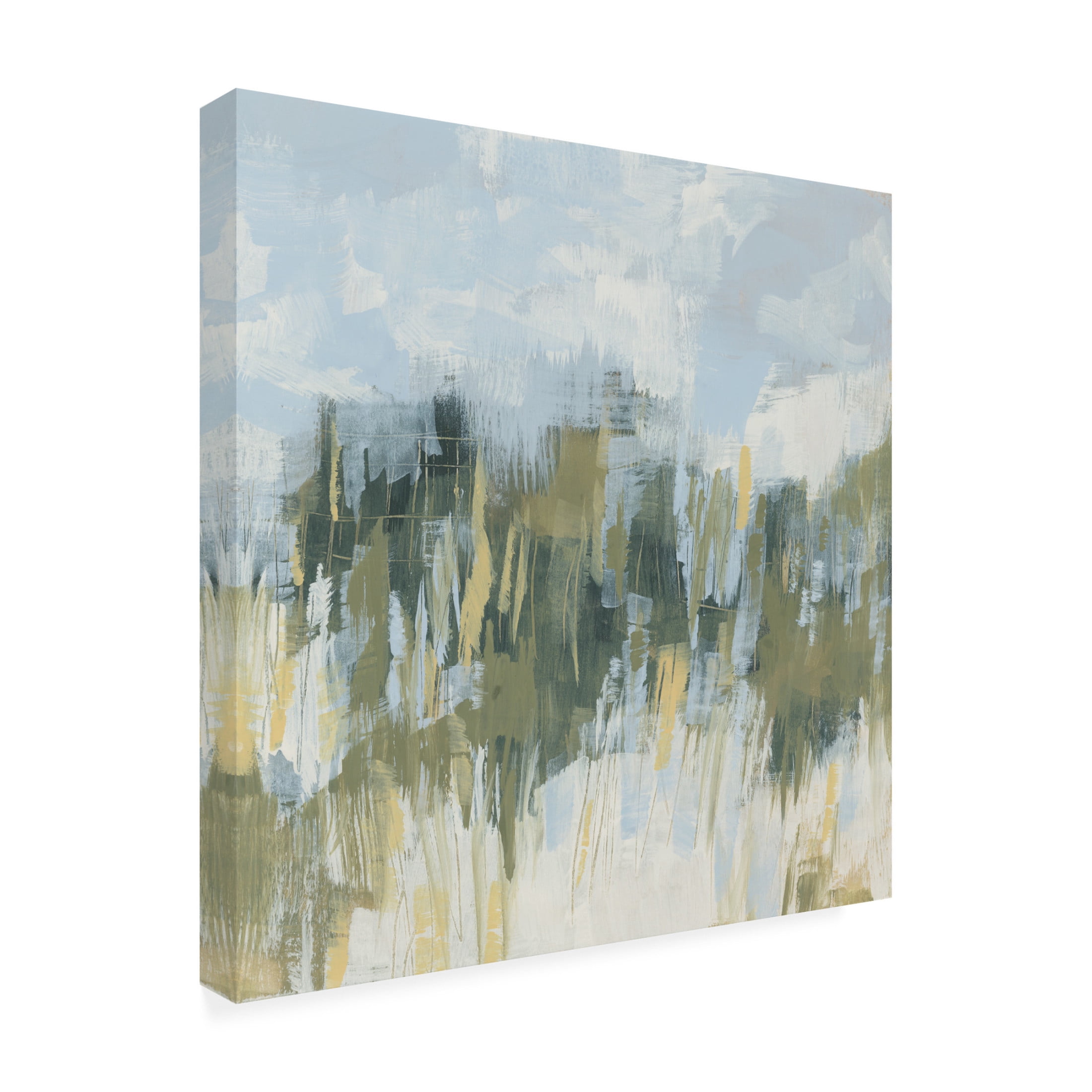 Trademark Fine Art June Erica Vess  Grassy Dunes I Canvas Wall Art