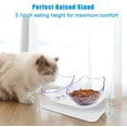 thumbnail image 4 of Juego de cuencos elevados para comida para gatos, cuencos para gatos elevados inclinados a 15°, plato antivómitos para gatos, cuencos para mascotas con soporte para gatos de interior y cuenco doble pequeño Sailing  Electrónica, 4 of 5