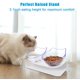 thumbnail image 4 of Juego de cuencos elevados para comida para gatos, cuencos para gatos elevados inclinados a 15°, plato antivómitos para gatos, cuencos para mascotas con soporte para gatos de interior y cuenco doble pequeño Sailing  Electrónica, 4 of 5