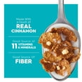 thumbnail image 5 of Kellogg's Special K Baked Cinnamon Crunch Breakfast Cereal, Good Source of Fiber, Family Size, 17.3 oz, 5 of 8