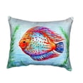 thumbnail image 2 of Orange Fish No Cord Pillow 16x20, 2 of 3