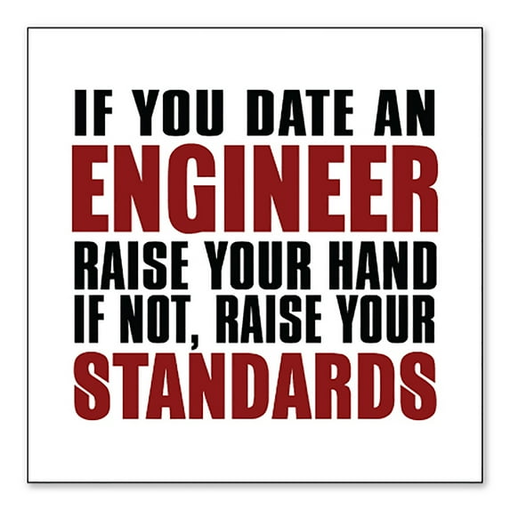 DistinctInk Custom Bumper Sticker - 10" x 10" Decorative Decal - White Background - Date Engineer or Raise Your Standards