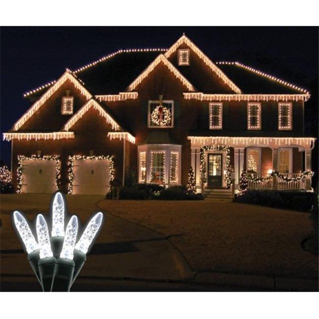 Verre Standard M5 Blanc Pur LED sur Fil Vert