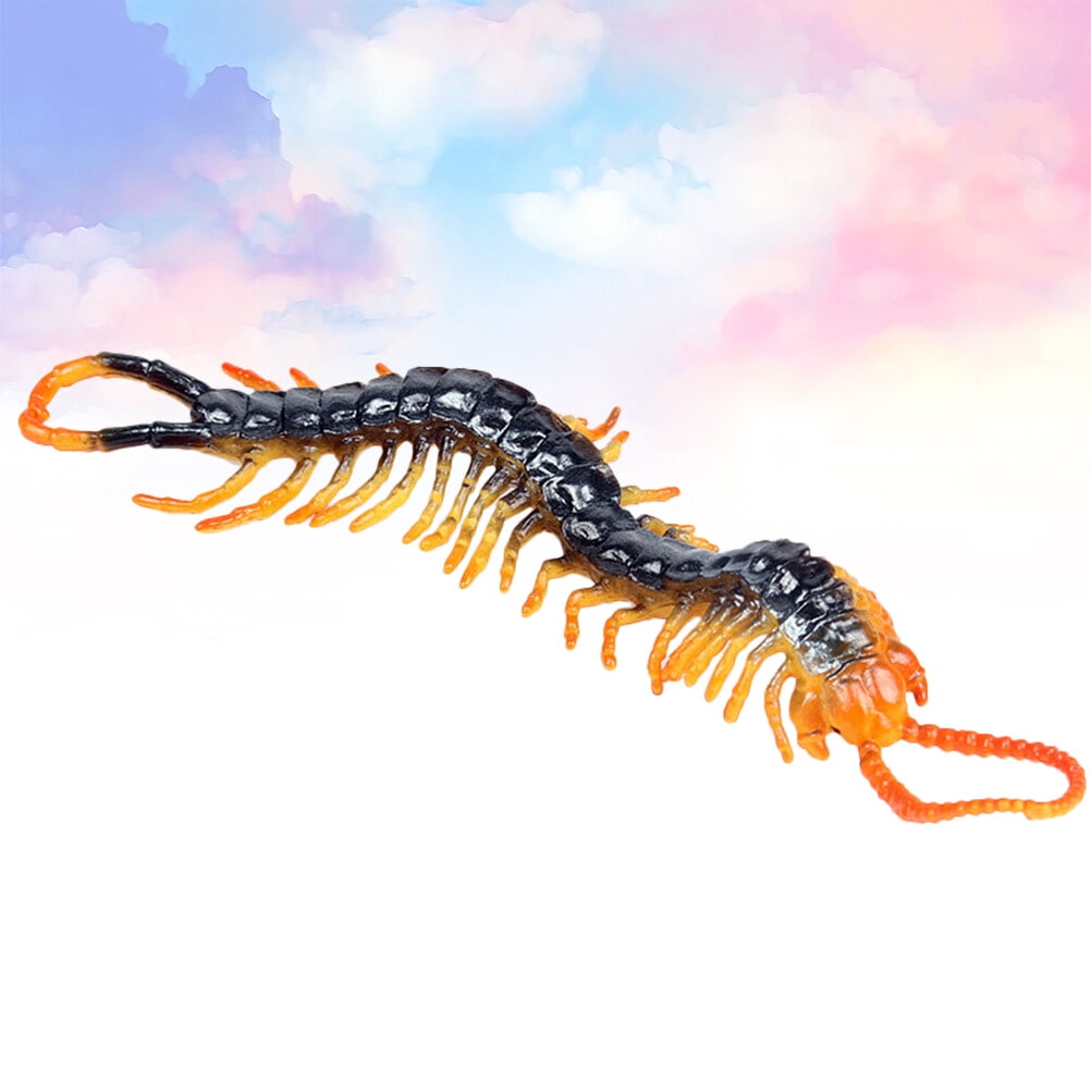 Lifelike Centipede Toy for Classroom Teaching Aid Walmart