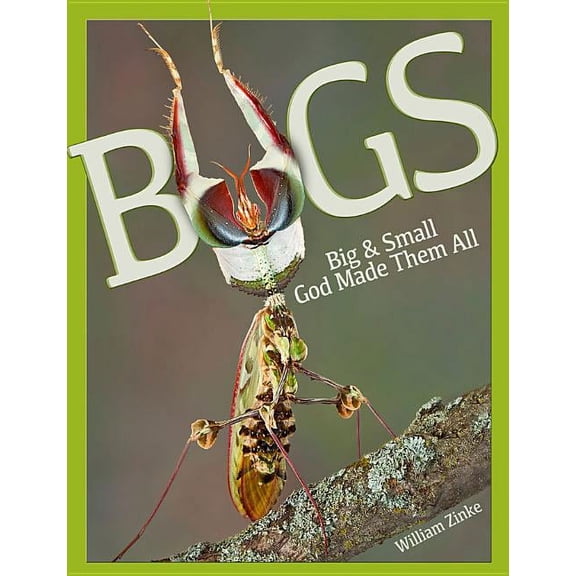 Bugs Big & Small: God Made Them All, (Hardcover)