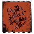 thumbnail image 3 of Ambesonne Pumpkin Spice Shower Curtain, Halloween Theme, 69"Wx75"L, Cinnamon Chestnut Brown, 3 of 3