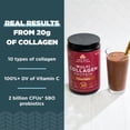 thumbnail image 3 of Péptidos de colágeno en polvo Ancient Nutrition Chocolate 300 ml, 3 of 8