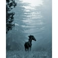 thumbnail image 2 of Friedman, Susan 26x32 Gold Ornate Wood Framed with Double Matting Museum Art Print Titled - Horse in the Trees I, 2 of 4