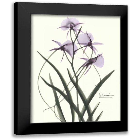 Koetsier, Albert 12x14 Black Modern Framed Museum Art Print Titled - Orchids a Plenty in Purple