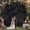 black, variant on 10ft x 14ft White Backdrop Curtains for Parties, 2 Panels Wrinkle Free Photo Backdrop Drop Cloth for Wedding Birthday Photography Background Decor