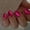 Hot Pink, variant on Eye Press Nails Short - Pastel Green Press Nails Oval, Glazed Almond Nails with Glitter Finish, Sturdy Quality, Bling Stick Nails for Women Party, 30 count 15 Sizes
