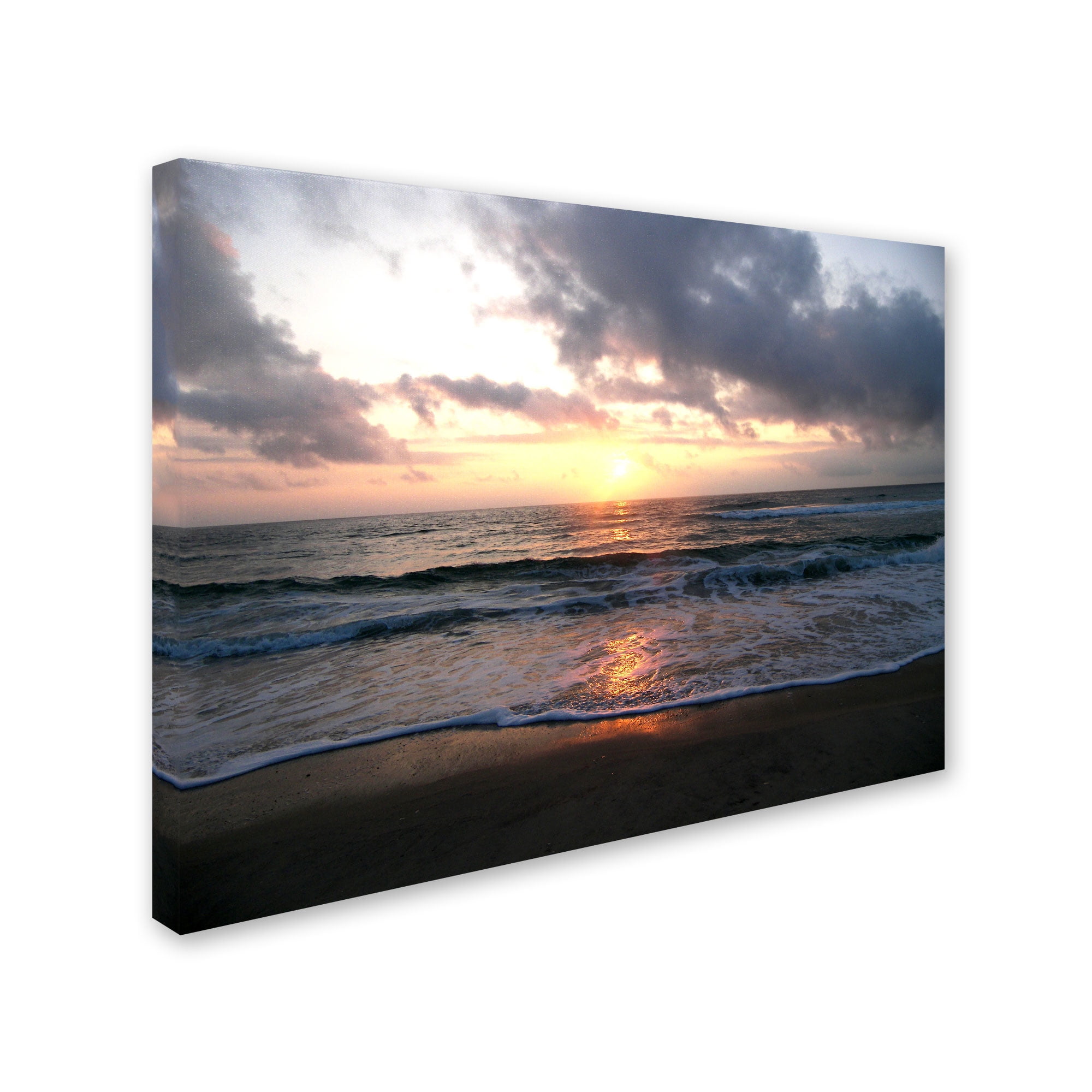 Trademark Fine Art "Gentle Rise" Canvas Art by Monica Fleet