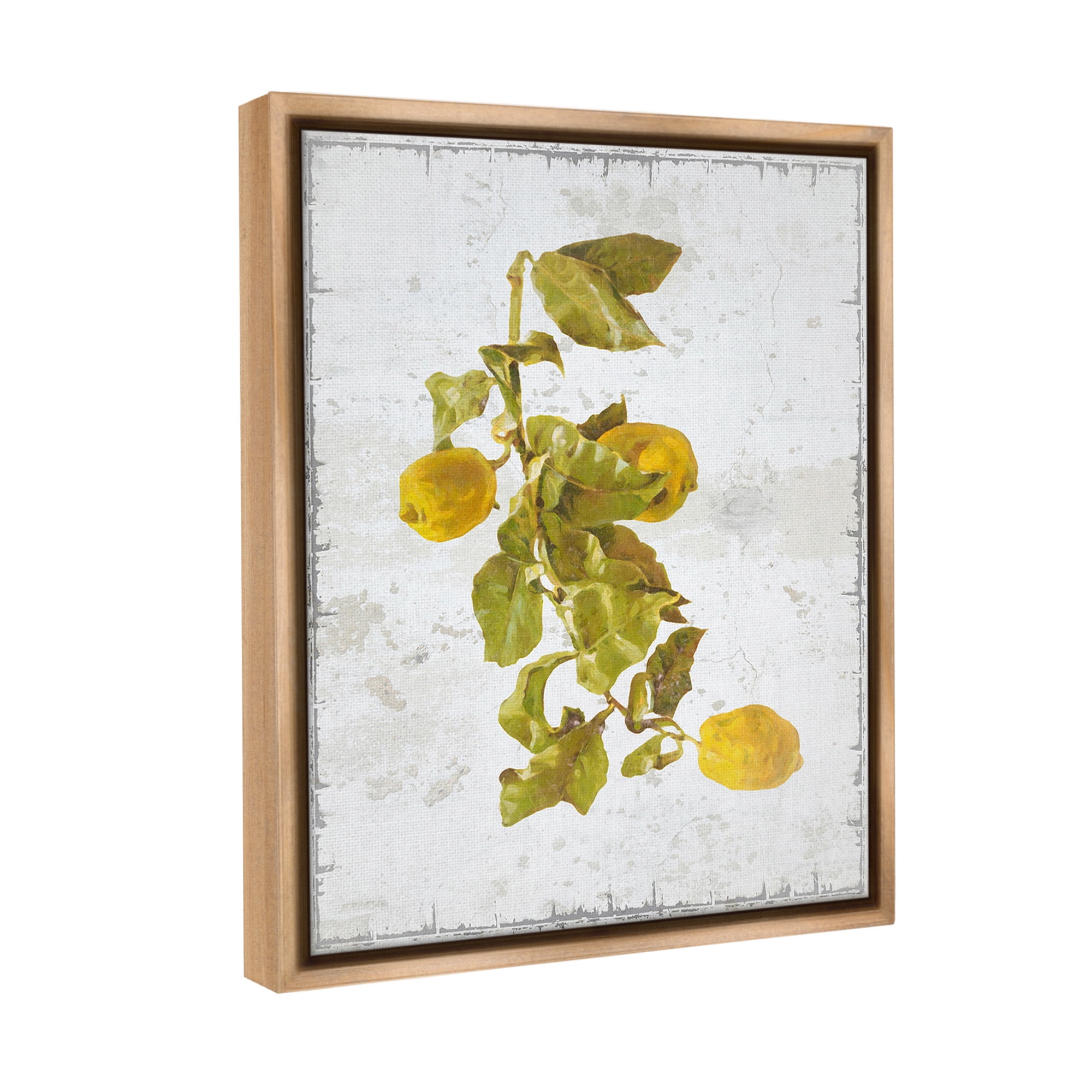 Stupell Industries Natural Lemon Fruits Food & Beverage Painting Brown Floater Framed Canvas Art Print Wall Art, 25 x 31
