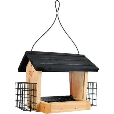 Nature's Way CWF28 Cedar 3 Quart Hopper Bird Feeder with Suet, 10 x 25.5 x 18