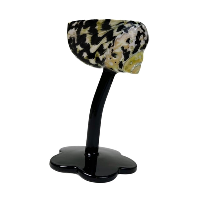 Copa de champán con forma de caracol, hecha a mano, regalo de cumpleaños, bonita, decoración, copas de martini, copas de boda para adultos, mujeres y hombres C