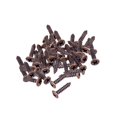 thumbnail image 1 of 50x Pickguard Mounting Screws for ST Scratch Plate Screws Pickguard SQ Replacement Parts Copper 2.5x12mm, 1 of 9