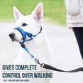 thumbnail image 5 of azul (M)Bozal para perro, actualizado más cómodo Prevenir mordeduras Ladridos Beking Entrenamiento de comportamiento Cubierta bucal de nailon reflectante de ajuste suave ajustable Rojo Verde, 5 of 5