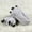 Grey, variant on Animal Paw Slippers for Kids Boys Girls Soft Plush Crib Shoes Winter House 4-10 Years