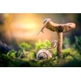 thumbnail image 2 of Ghizzi Panizza, Alberto 18x13 Gold Ornate Wood Framed with Double Matting Museum Art Print Titled - The Awakening Of Snails, 2 of 4