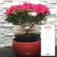 thumbnail image 1 of 10 piezas de etiquetas de metal para plantas, accesorios impermeables para contenedores de plantas, de plantas, etiquetas de etiquetas para DYNWAVEMX Etiquetas de plantas, 1 of 8