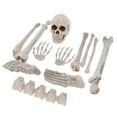 thumbnail image 1 of 1 Set de Esqueletos de Huesos Artificiales Días de Todos Víspera de Plástico Reutilizable Terrorífica Atmósfera mayimx Huesos esqueleto de Halloween, 1 of 7