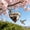 E-2pc, variant on 2PCS Handmade Fiber Bird Nesting Heart, Refillable Birds Haven 1 Heart Shape Hummingbird Nesting and 2 Bags of Nest Materials, Winter Fowl Gifts Animal Hummingbirds Lovers Home Garden Yard