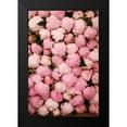 thumbnail image 2 of Okula, Carina 13x18 Black Modern Framed Museum Art Print Titled - Peony 2, 2 of 5