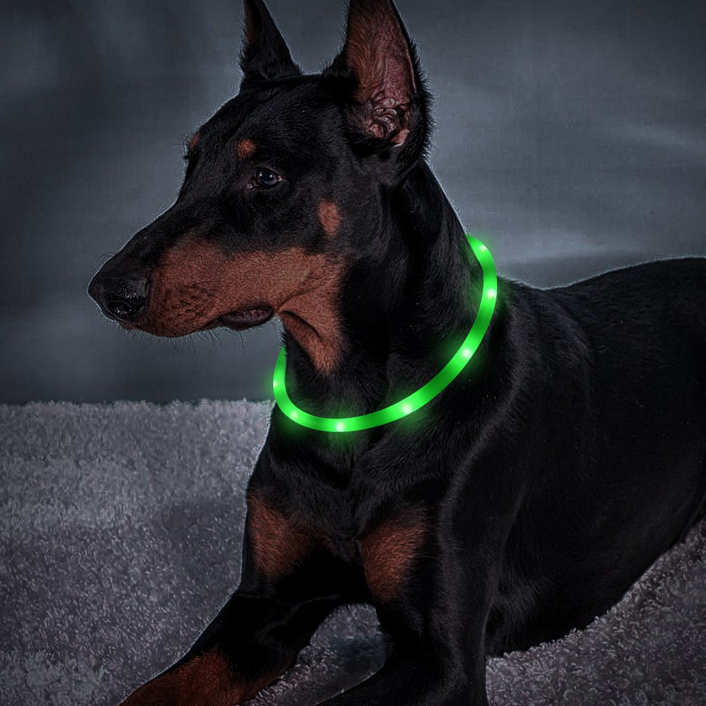 USB Rechargeable LED Light Up Dog Collars - 1 Cuttable Size Dog Collars for Large Dogs Medium Dogs Small Dogs ,Safety and Cool Neon Dog Collar for Dog Running and Walking at Night - image 4 of 6
