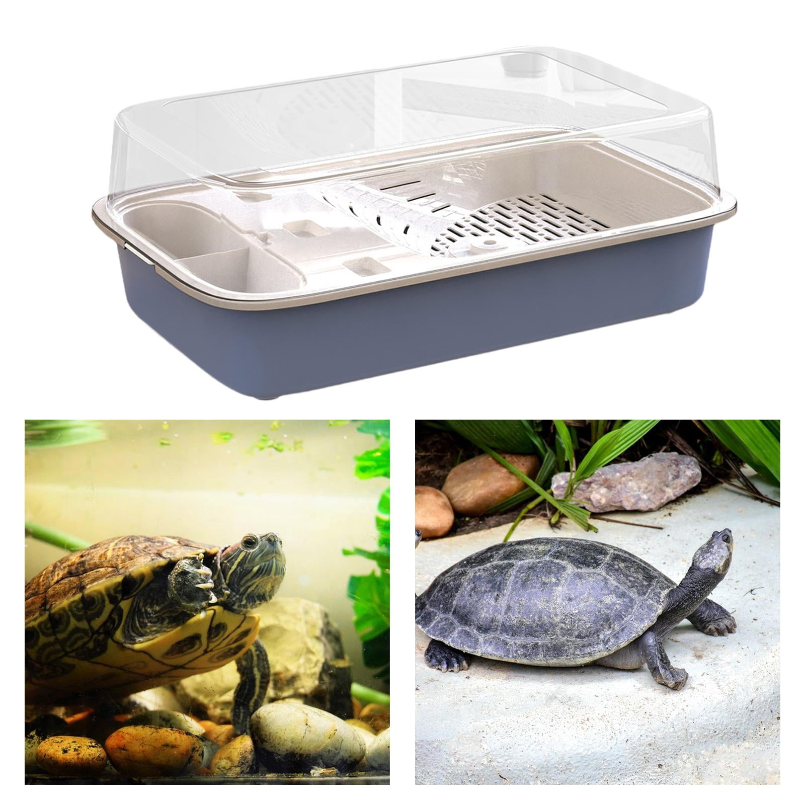 perfeclan Turtle Tank Reptile Habitat Multifunction Areas Bottom Drainage Tortoises Case Breeding Box Hermit Tortoise Enclosure Starter blue