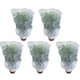 thumbnail image 1 of 5 Packs Of Garden Plant Protection Nets with Rope, Tomato Protective Cover Garden Plant Isolation Ba, 1 of 5