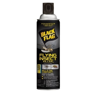 Black Flag Spider & Scorpion Killer 16 oz Aerosol Spray - Walmart.com