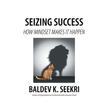 Seizing Success: How Mindset Makes It Happen (Hardcover)