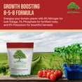 thumbnail image 3 of WonderTree Organics -Organic Enriched Tomato Fertilizer, Granular Premium Plant Food for Healthy Tomato Growth and Abundant Harvests - 8-5-8, 4 lbs, 3 of 9