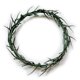 thumbnail image 1 of Corona de espinas de Jesucristo de tamaño natural para eventos de la iglesia, 1 of 4