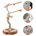 thumbnail image 2 of Air Plant Rack Plant Holder Air Plant Holder Decorative Table Air Plant Display Stand, 2 of 8