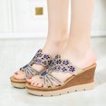 thumbnail image 1 of xiaxaixu Wedge Slippers for Women, Comfortable Fish Mouth High Heel Rhinestone Wedges Platform Shoes, 1 of 6