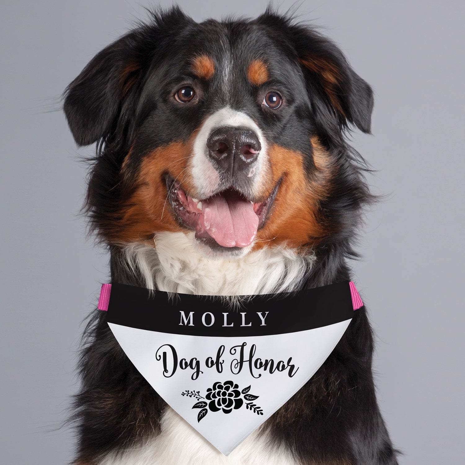 Over the Collar Free Shipping Dog of Honor with Ring Canvas Dog Bandana