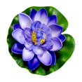 thumbnail image 2 of Dvkptbk Eva Bath Toy Eva Foam Eternal Flower Bath Toy Decoration Education, 2 of 8