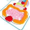thumbnail image 3 of Anatomy Apron Human Body Organs Awareness Educational Insights Children's Toy, 3 of 4