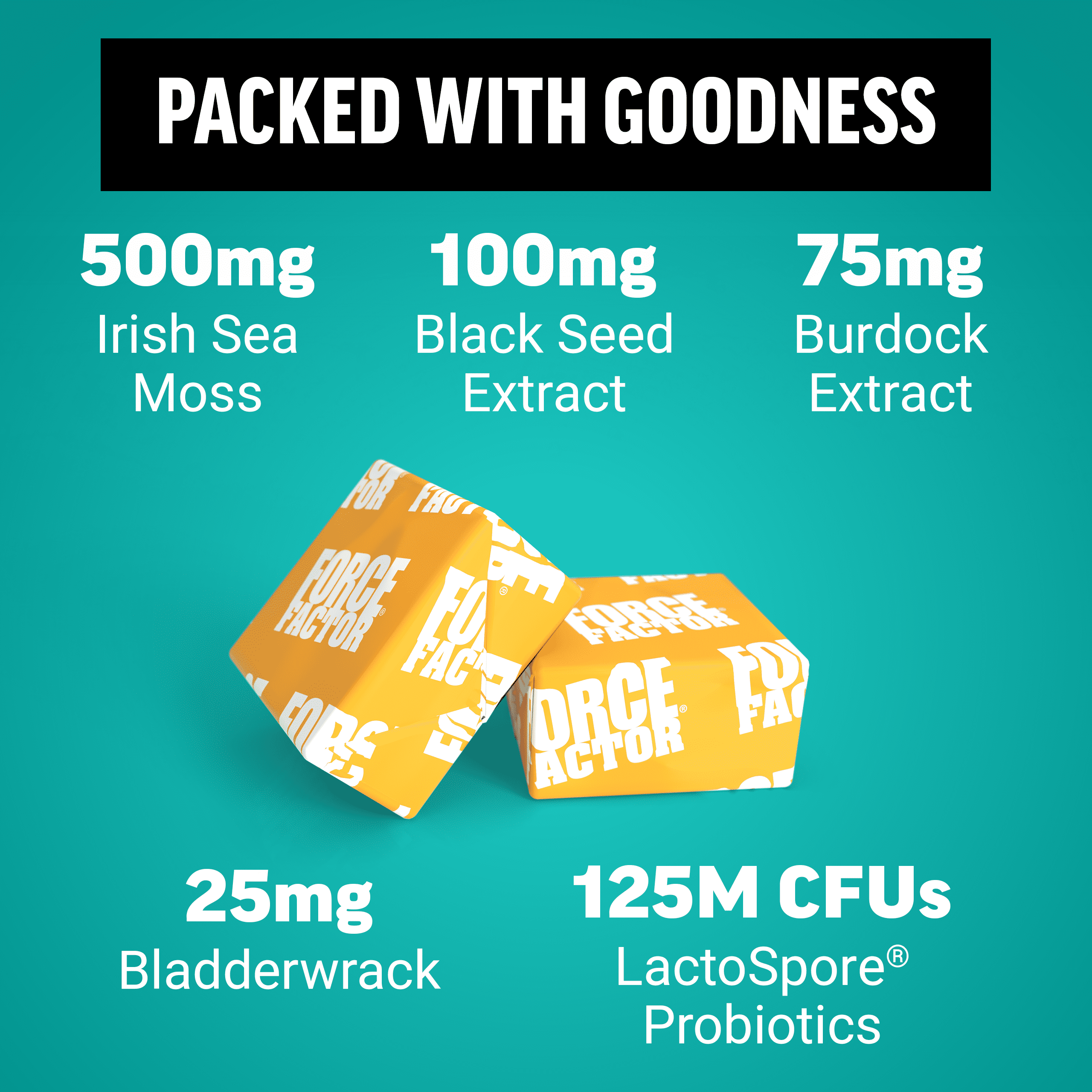 Force Factor Superior Sea Moss Gut Health + Skin Support with Irish Sea Moss, Probiotics, Biotin, Black Seed & Burdock Root, S’mores, 60 Soft Chews