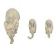 thumbnail image 5 of Figuras de Elefante de Madre Babies, Decorativa Vívida Linda Estatua de Elefante Resina Encantadora Para Dormitorio, 5 of 7