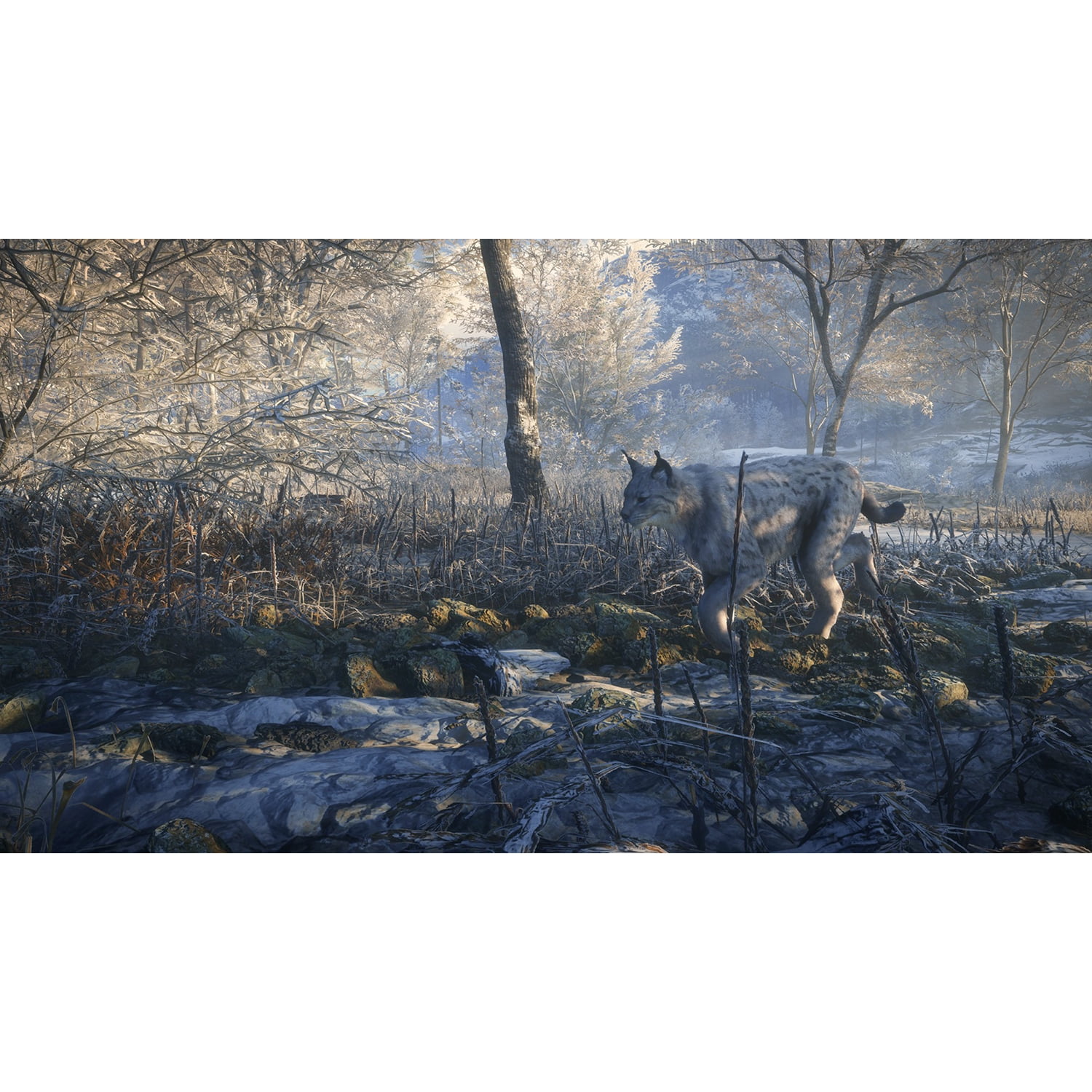 Farm World Roblox Deer Herd