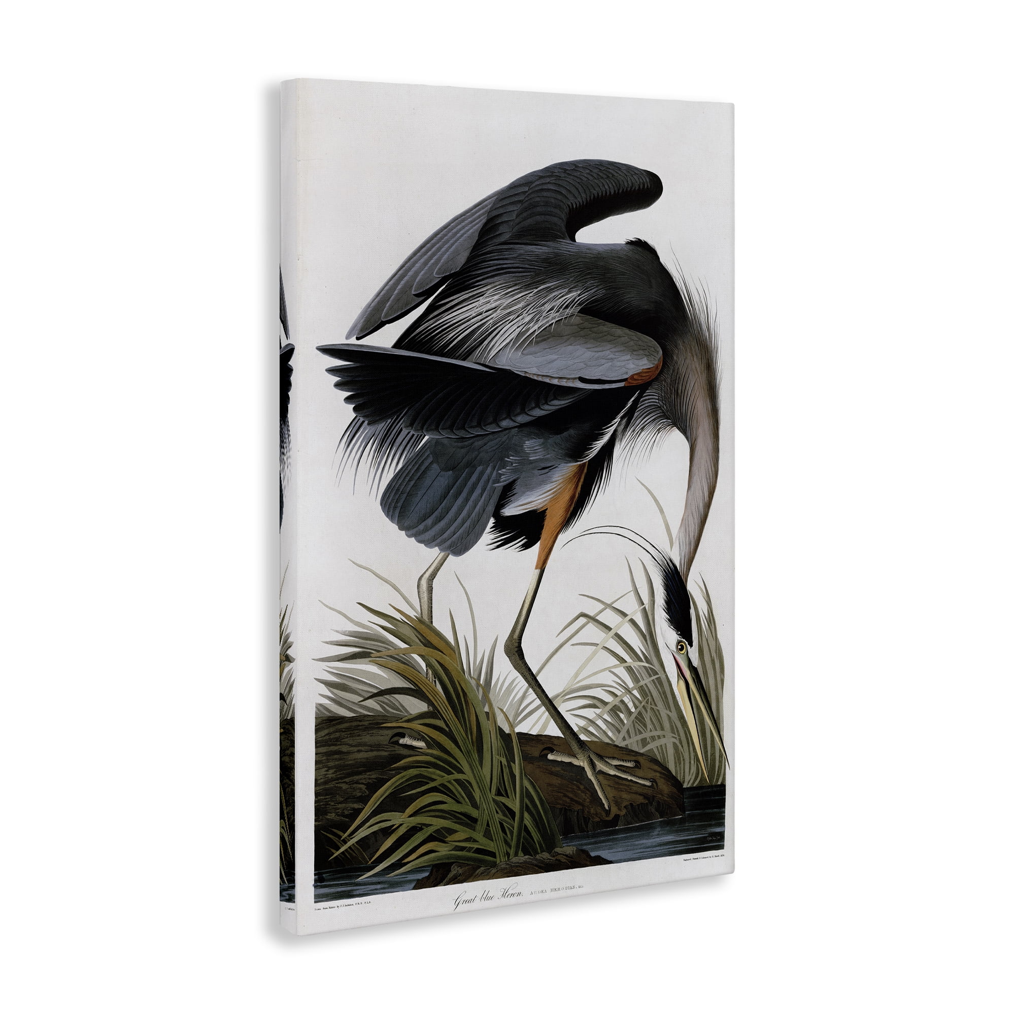 Stupell Industries Classic Heron at Lake Animals & Insects Painting Gallery Wrapped Canvas Art Print Wall Art, 16 x 24