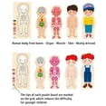 thumbnail image 4 of Rompecabezas De Madera De Mi Cuerpo, Juego De Anatomía Para Niño Y Niña, Herramientas De Enseñanza De Conciencia De órganos Corporales Para Niños Y Niñas, 4 of 7