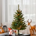 thumbnail image 4 of National Tree Company Artificial Pre-Lit Mini Christmas Tree, Green, Kingswood Fir, Multicolor Lights, 3 Feet, 4 of 4