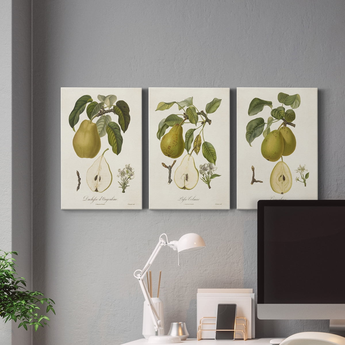 Vintage Pears I Premium Gallery Wrapped Canvas - Ready to Hang - 18 x 27 Each