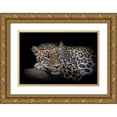 thumbnail image 1 of Nauzet Baez Photography 24x17 Gold Ornate Wood Framed with Double Matting Museum Art Print Titled - Leopard resting, 1 of 4